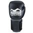 Boxhandschuhe Elite ATF, Farbe: Schwarz, OZ: 12oz, 5 image