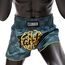 Muay Thai Shorts Fairtex Clubber, Size: 2XL, Colour: Blue, 4 image