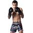 8 WEAPONS Muay Thai Shorts - Samurai 2.0 cyber S, Size: S, Colour: Schwarz, 3 image