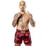 8 Weapons Muay Thai Shorts Carbon -  Dawn, Colour: Rot, Size: S, 6 image