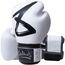 Boxhandschuhe - BIG 8 Premium, Farbe: Weiss, OZ: 12oz