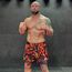 Fightshorts FUSION Splatter, Bekleidungsgrösse: L, Farbe: Rot, 3 image