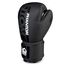 Gants de boxe APEX, Couleur: Noir, OZ: 10oz, 2 image
