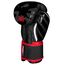 Boxhandschuhe RAIDER, Farbe: Schwarz, OZ: 10oz, 3 image