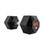 UFC Octagon Dumbbell-20kg, Colour: Schwarz, Additional Weight: 20 kg