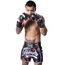 8 WEAPONS Muay Thai Shorts - Cut like a blade black 2.0 XXL, Size: 2XL, Colour: Schwarz, 3 image