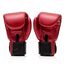 Boxing gloves Fairtex Golden Jubilee, Colour: Rot, OZ: 14oz, 3 image