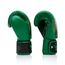 Boxhandschuhe Fairtex Resurrection, Farbe: Grün, OZ: 10oz, 3 image