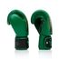 Boxing gloves Fairtex Resurrection, Colour: Green, OZ: 14oz, 3 image