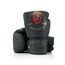 Boxhandschuhe Fairtex The Heart of Warrior, Farbe: Schwarz, OZ: 14oz