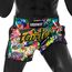 Muay Thai Shorts Urface X Fairtex, Size: M, Colour: Multicolor, 3 image