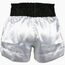 Muay Thai Shorts Fairtex Thai Talisman, Size: L, Colour: Multicolor, 4 image
