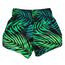 Short de Muay Thai Fairtex Tropical, Taille: L, Couleur: Vert, 2 image
