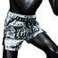 Muay Thai Shorts Fairtex Grunge, Bekleidungsgrösse: M, Farbe: Weiss, 4 image