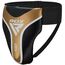 RDX Groin Guard Aura Plus T-17 Black/Golden-S+, Size: S, Colour: Gold, 5 image