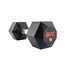 UFC Octagon Haltère hexagonale 15kg, Couleur: Noir, Poids kg: 15 