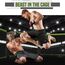 MMA Shorts T15, Bekleidungsgrösse: S, Farbe: Grau, 2 image