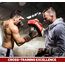 RDX T1 Paos courbés – L’accessoire idéal pour le Muay Thai, Taille: Taille unique, Couleur: Bleu, 3 image