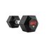 UFC Octagon Dumbbell-10kg, Colour: Schwarz, Additional Weight: 10 kg