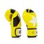 Gants de boxe Fairtex BGV1 Nation Print, Couleur: Jaune, OZ: 10oz, 4 image