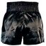 Muay Thai Shorts Fairtex My Fortune, Size: L, Colour: Schwarz, 3 image