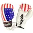Ringside Miniature Bag Gloves, 2 image