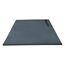 Sol enroulable "Flexi-Roll" 300x182x4cm GladiatorFit, 2 image