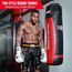 Shorts de boxe Pro Ringside, Taille: S, Couleur: Noir, 2 image