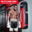 Shorts de boxe Pro Ringside, Taille: XL, Couleur: Noir, 2 image