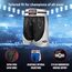 Shorts de boxe Pro Ringside, Taille: XL, Couleur: Noir, 6 image