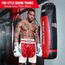 Shorts de boxe Pro Ringside, Taille: L, Couleur: Rouge, 2 image