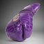 Venum Gants de Boxe Contender 1.5 XT Violet Foncé 10OZ, Couleur: Violet, OZ: 10oz, 4 image