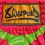 8 WEAPONS Muay Thai Shorts Jurassic Grün/Rot S, Bekleidungsgrösse: S, Farbe: Rot, 5 image