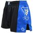 WAKO Boxing Shorts T1, Taglia: S, Colore: Blu 