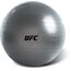 UFC Gymnastikball – 55 cm (Swiss Ball Training), Bekleidungsgrösse: 55 cm, Farbe: Silber