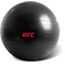 UFC Swiss Ball – 75 cm (Fitball d’entraînement), Taille: 75 cm, Couleur: Noir