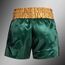 Venum Classic Muay Thai Shorts Green/Gold XL, Size: XL, Colour: Green, 4 image