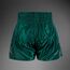 Short Muay Thai Venum Classic – Verde Foresta – L, Taglia: L, Colore: Verde , 2 image