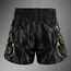 Muay Thai Shorts Venum VTC Flames – Black/Gold – XL, Size: XL, Colour: Schwarz, 4 image