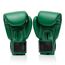 Gants de boxe Fairtex BGV – Resurrection – 14oz, Couleur: Vert, oz: 14oz, 4 image