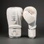 Guantoni Boxe Venum Challenger 2.5 Bianco/Argento 16oz, Colore: Bianco , OZ: 16oz