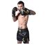 Gants de boxe 8 WEAPONS – Noir/Or – 12 Oz – Premium, Couleur: Noir, oz: 12oz, 12 image