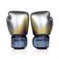 Boxing Gloves Fairtex BGV1C-PLUS x Milli – Silver – 12 oz, Colour: Silber, OZ: 12oz