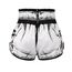Muay Thai Shorts Twins Comic – L, Bekleidungsgrösse: L, Farbe: Weiss, 3 image