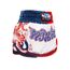 Muay Thai Shorts Twins Yant – XXL, Size: XXL, Colour: Weiss, 2 image