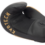 Gants de Boxe EV1 Compétition, Couleur: Noir, oz: 8oz, 2 image