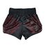 Muay Thai Shorts Fairtex Lava, 2 image