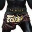 Muay Thai Shorts Fairtex Lava, 3 image