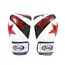 Boxhandschuhe Fairtex BGV1 – Nation Print – Weiss – 10 oz, Farbe: Weiss, OZ: 10oz, 2 image