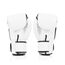 Boxhandschuhe Fairtex BGV1 – Nation Print – Weiss – 10 oz, Farbe: Weiss, OZ: 10oz, 4 image